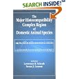 Major Histocompatibility The Complex Region Domestic Animal (Comparative Immunology) by  Lawrence B. Schook and Susan J. Lamont