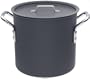 Calphalon Professional Hard-Anodized 12-Quart Stock Pot with Lid