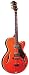 Arbor Hollow Body Electric Guitar, AJ137