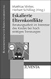 Eskalierte Elternkonflikte