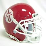 South Dakota Coyotes Authentic Mini Helmet (Quantity of 1)