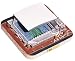 Ford Field Stadium Replica (Detroit Lions) - Limited Edition Gold Series
