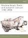 Modern Israeli Tanks and Infantry Carriers 1985 - 2004