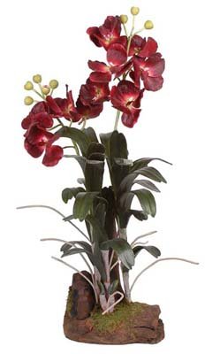 Large Vanda Silk Orchid Plant Flower Arrangement – Burgundy
