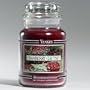 Cranberry Chutney - 22 Oz Large Jar Yankee Candle