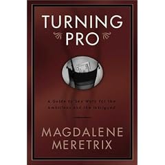 Turning Pro: A Guide to Sex Work for the Ambitious and the Intrigued