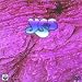 Yes - Live 1975 at QPR Volume 2