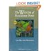 The Witch of Blackbird Pond: Mcdougal Littell Literature Connections