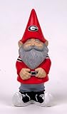 Garden Collegiate Gnome,UNIVERSITY OF GEORGIA