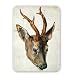 Head of a Roe Deer (pen & ink and w/c on.. - Mouse Mat Art247 Highest Quality Natural Rubber Mouse Mats - Mouse Mat
