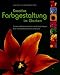 Kreative Farbgestaltung im Garten. Formen und Farben im Garten zur Wirkung bringen