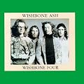 Wishbone Four