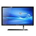 23" LED Monitor