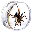 22mm Organic Spider Resin Saddle Plug