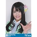 AKB48公式生写真 リクエストアワー　セットリストベスト100 2011【平嶋夏海】