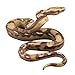 STOBOK Realistic Snake Toy Rubber Snake Figure Prank ToyHalloween Party Favors