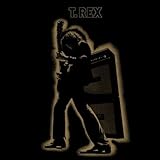 Electric Warrior