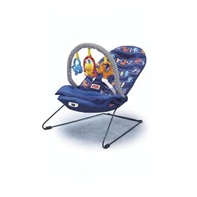 Fisher-Price Cover 'N Play Bouncer