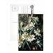 Blue Passion Flower for the 'Temple of Flora' by Robert Thornton, 1800 (oil on canvas) by Philip Reinagle - Postcard (Pack of 8) - 6x4 inch - Art247 Highest Quality - Standard Size - Pack Of 8