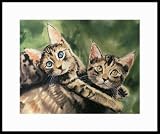 Best Friends by Drew Strouble