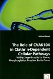 The Role of CVAK104 in Clathrin-Dependent Cellular Pathways
