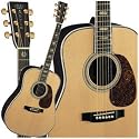 D45 Acoustic Guitar