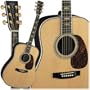 D45 Acoustic Guitar