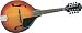 Washburn M1S Acoustic Mandolin (Sunburst)