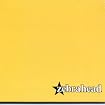 Zebrahead (The Yellow)