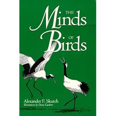 The Minds of Birds