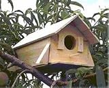 Wooden Bird House Kit Complete With Nails