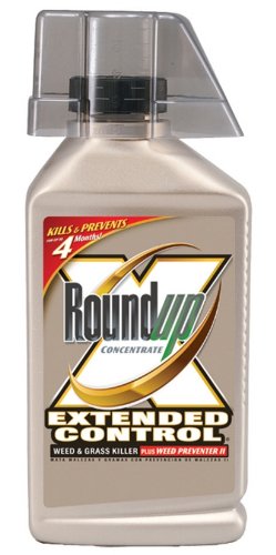 Roundup 5705010 Extended Control Weed and Grass Killer Concentrate, 32-Ounce