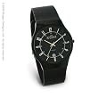 Skagen Men's Titanium...