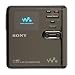 Sony MZ-RH10 Hi-MD Walkman