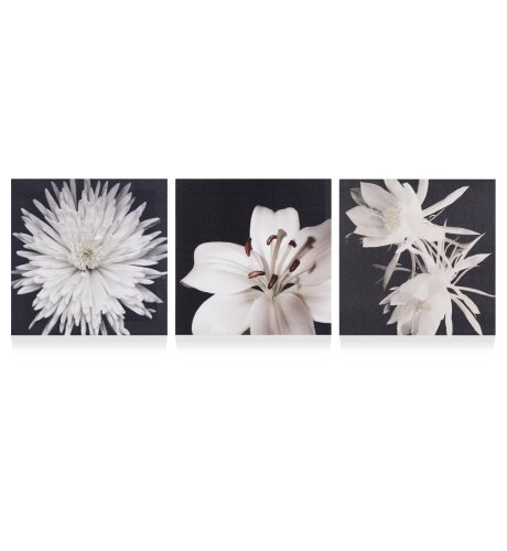 3 Lily Floral Wall Art