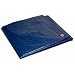 Dry Top 20304 20-by-30-Foot 5-mil Tarp, Blue