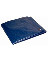 Dry Top 12248 12-by-24-Foot 5-Millimeter Tarp, Blue