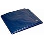 Dry Top 12163 12-by-16-Foot 5-Millimeter Tarp, Blue