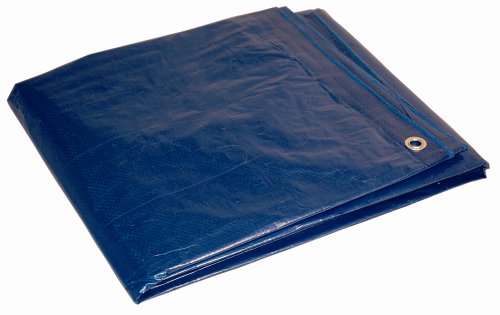 Dry Top 12163 12-by-16-Foot 5-Mil Tarp BlueB0002Z3NPC : image