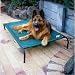Coolaroo Pet Bed Green with Black Frame Large
