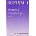 Sufism I: Meaning, Knowledge and Unity