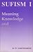 Book Sufism I: Meaning, Knowledge and Unity (Sufism)