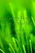 The Greener Grass From The Other Side: A Poetic Path to Love and Happiness