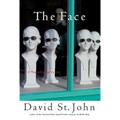 The Face: A Novella in Verse