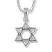 Speckled Diamond (.08 ctw) Jewish Star in14k White Gold