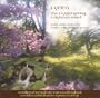 The Crystal Spring/YFfynnon Risial