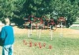 Disc Golf - Set - Outdoor Set, 9 Hole Set - Sports Games