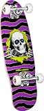 Powell-Peralta Micro Ripper 3 Complete Skateboard (Purple/Green)