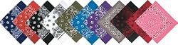 Assorted Military Army Trainmen Paisley Bandanas