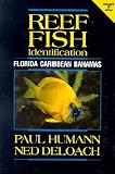 Reef Fish Identification: Florida, Caribbean, Bahamas